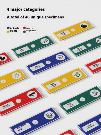 Microscope 1200 Times Professional Scientific Equipment Elementary School Educational Toys