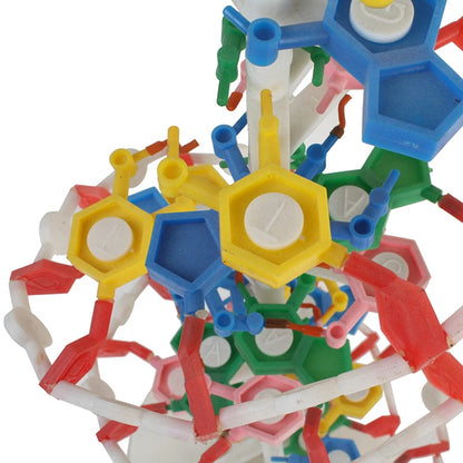 Double Helix 23x22x68.5cm Education Plastic Structure Dna Model For Biology