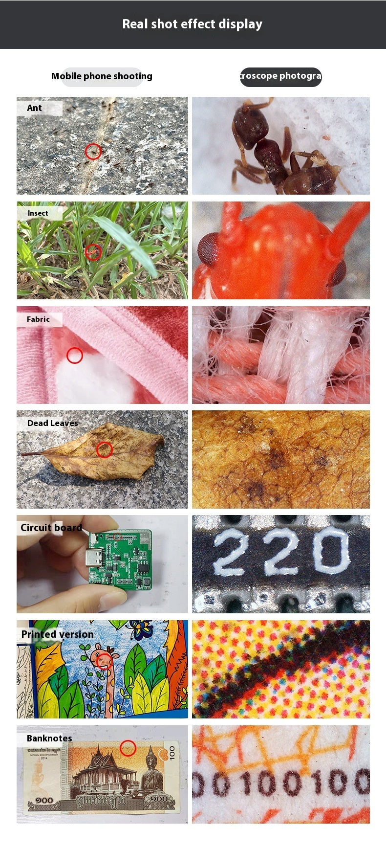 High Clearness Magnifying Photo With Screen Digital Microscope