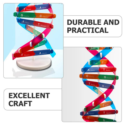 Dna Double Helix Model Structure Kids Assembly Build Toy Childrens Toys Science Educational Instrument Aids Kit Assembled